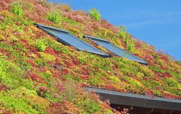 Pica living roof systems