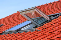 Pica roof window